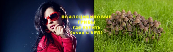 прущий лед Богородск